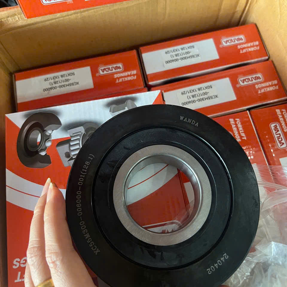Vòng bi WANDA XC55M300-006000